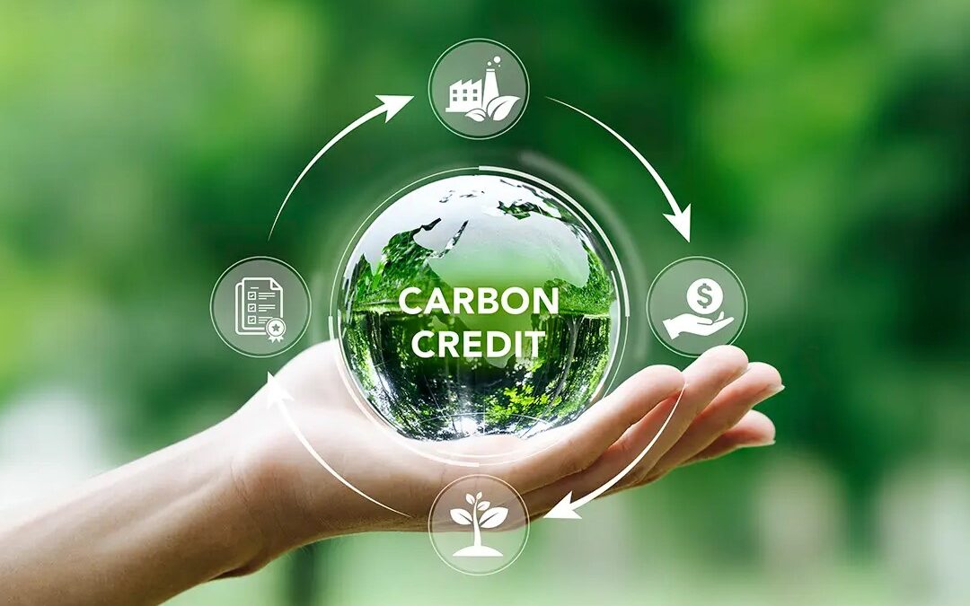 Carbon credits from diesel savings
