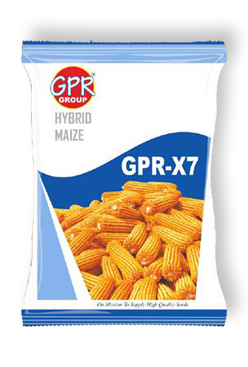 GPR-65