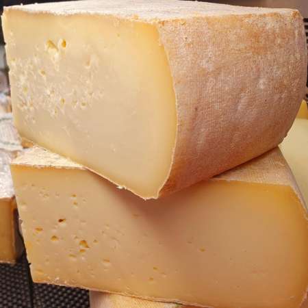 Cheese