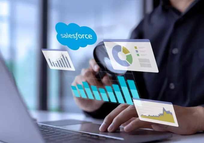 Data Analyst