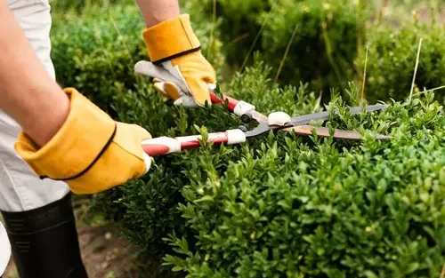 Horticulture Services