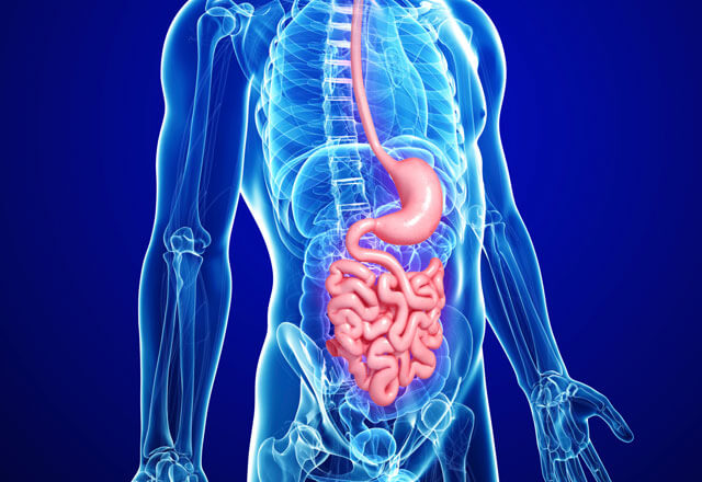 Journal of MAR Gastroenterology