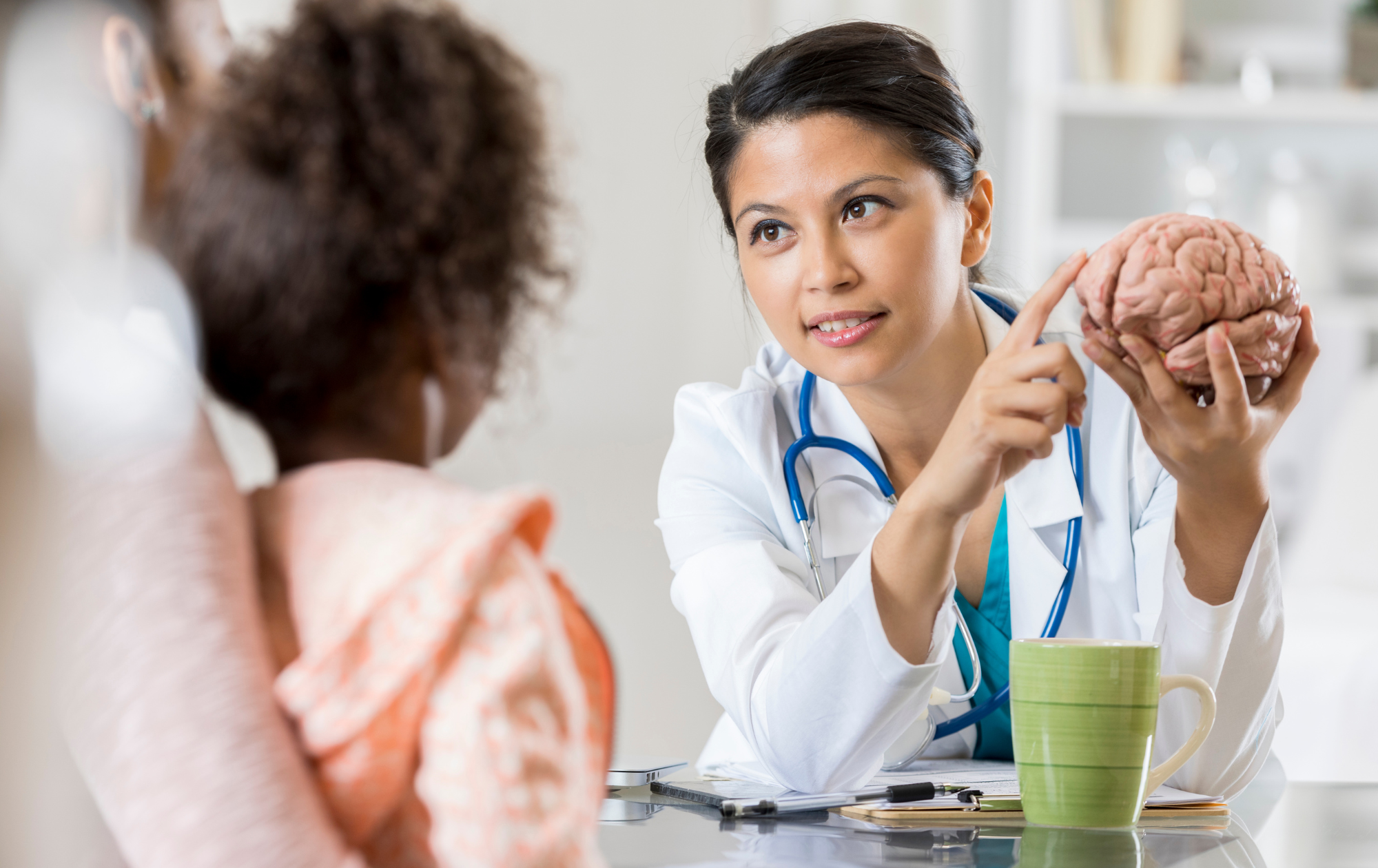 Neurologist explaining a brain model to a patient