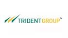 Trident Group