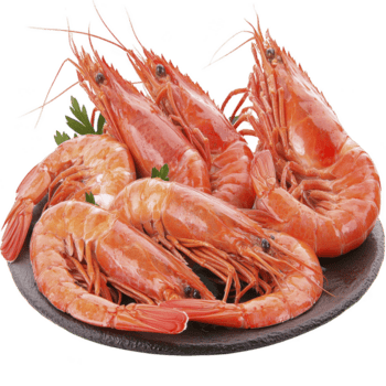 Prawns